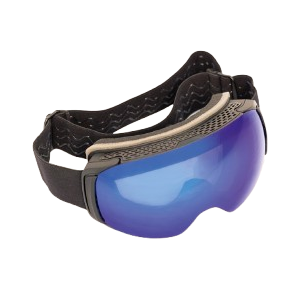 LEADER Ski & Snowboard Googles