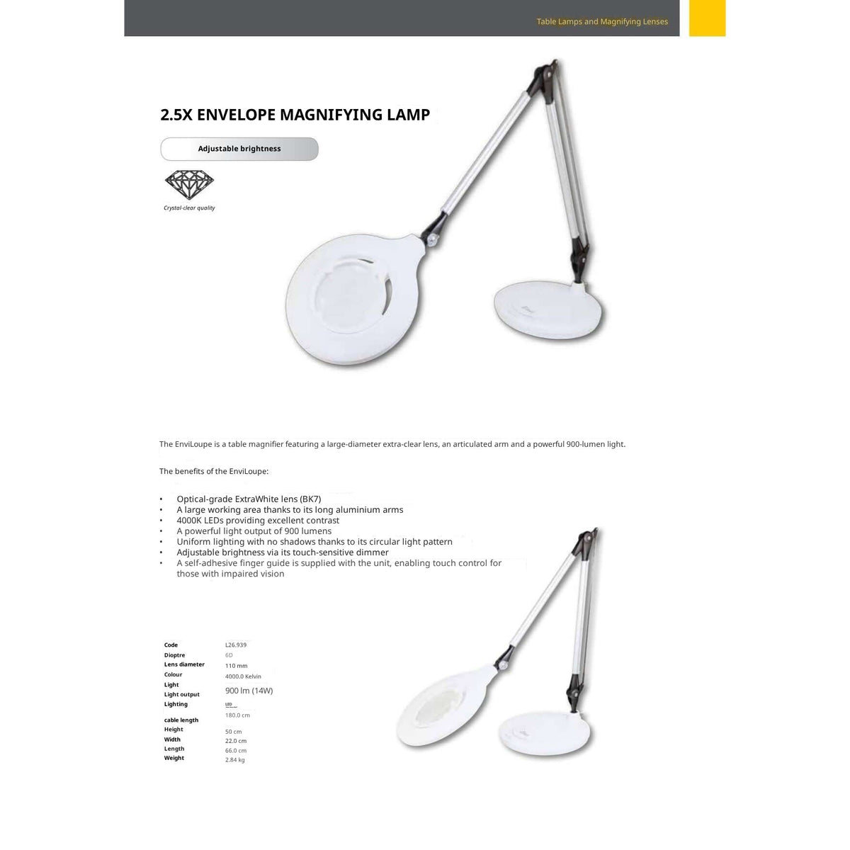 EnviLoupe lamp and magnifier for cosmetology