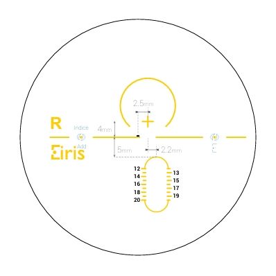 Ophthalmic Lenses for Day Driving