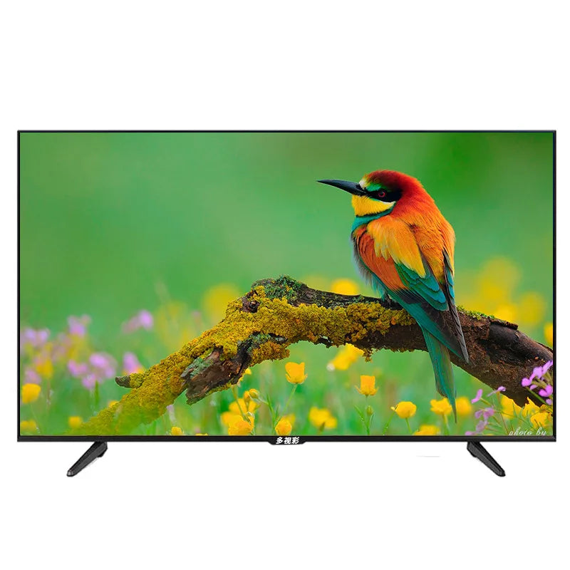 DIKELANG Commercial Smart TV 55 Inch