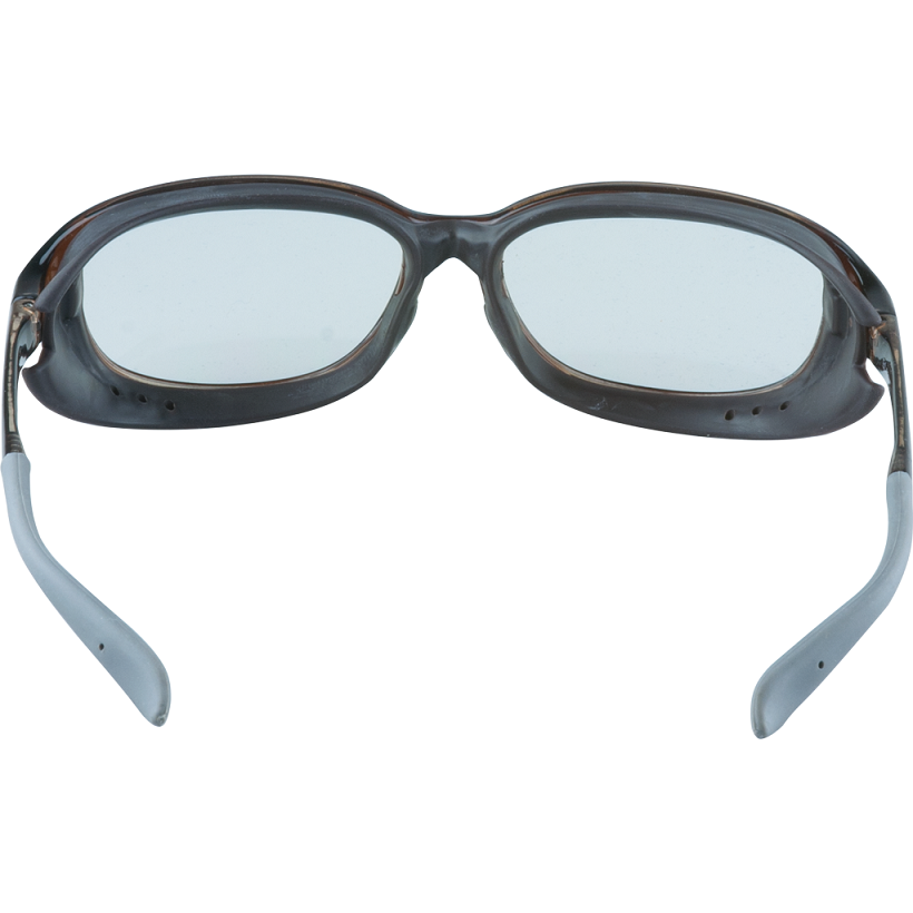 Lesa Women's Low Vision Glasses