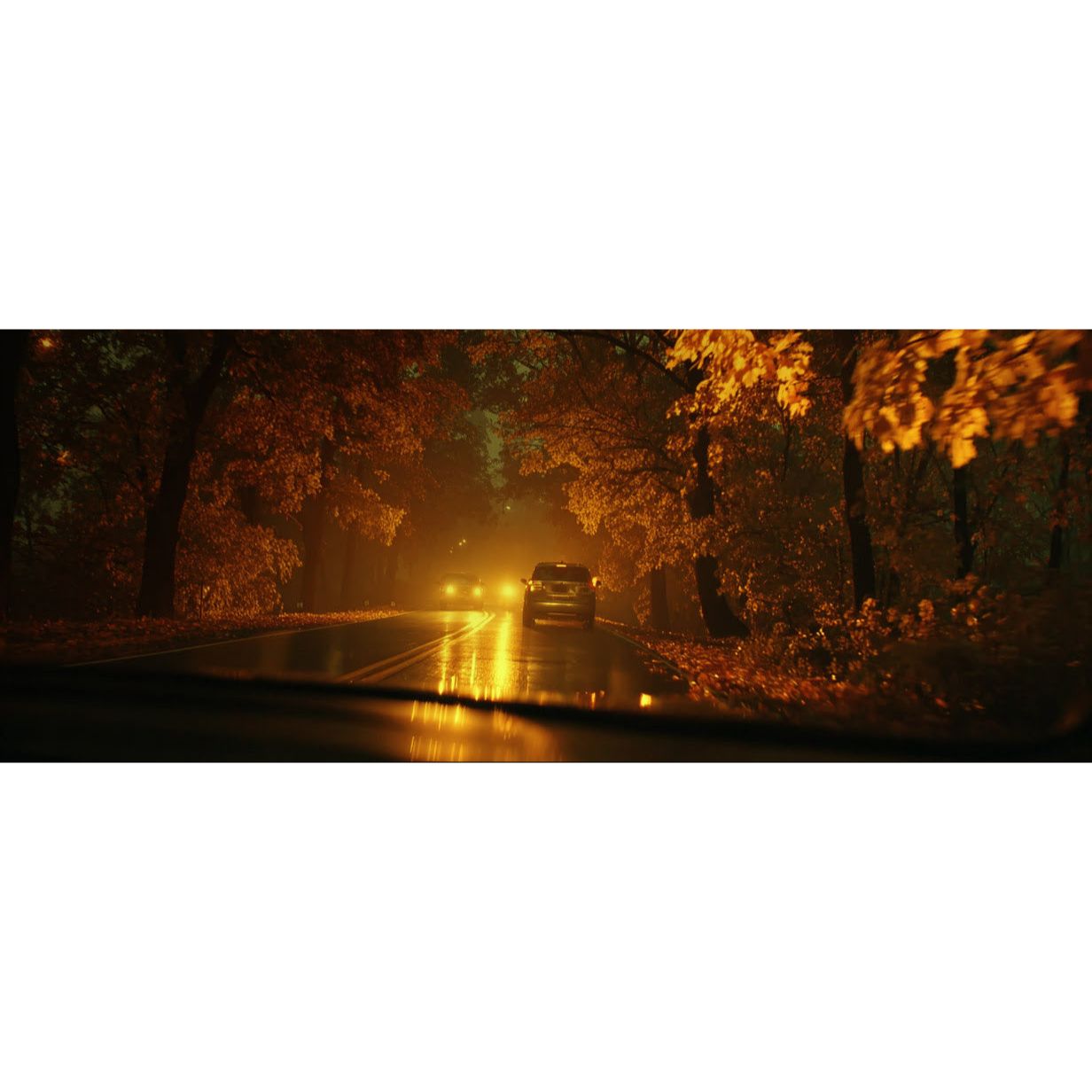 Ophthalmic Lenses for Night Driving