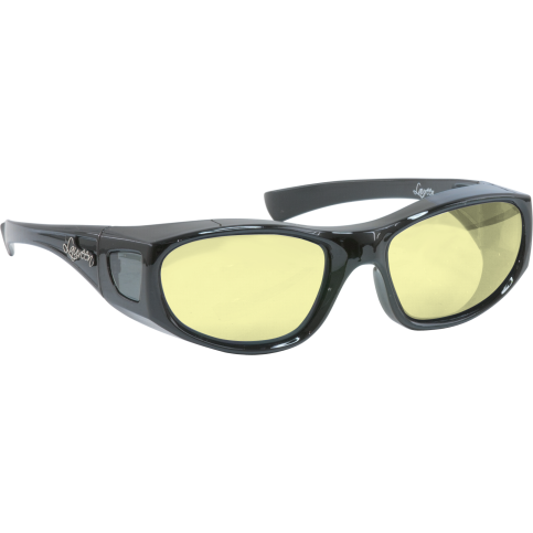 Glasses with Coloured Filters for Visual Stress16