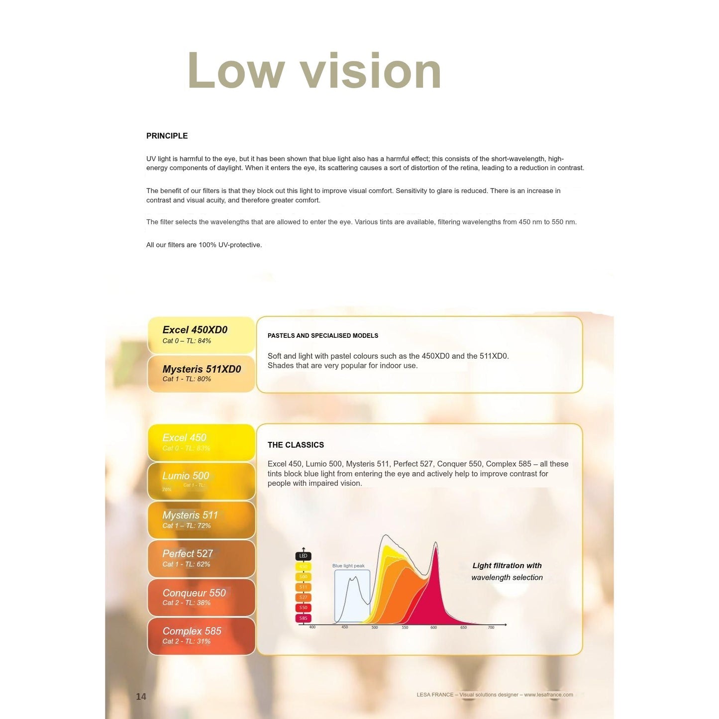 Prescription Glasses Sunglasses SUN SMITH for Optic Nerve Atrophy